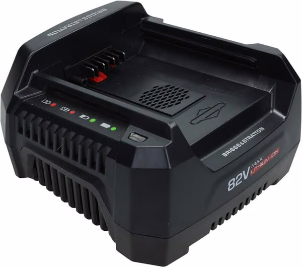 Зарядний пристрій 220v Briggs &amp; Stratton 1760264