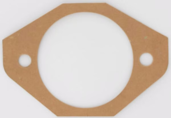 Прокладка Maschio M38100117R