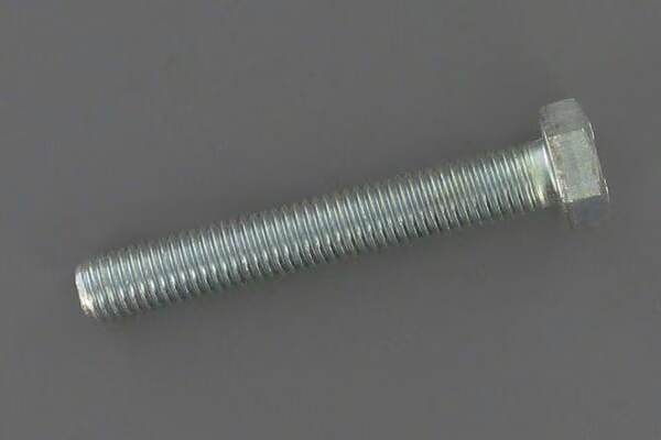 Гвинт H.Bolt M12X80