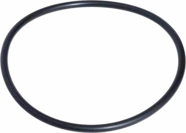 Кільце ущільнювача Filterglas Classic F 477587