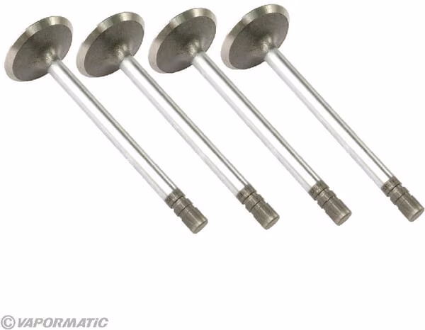 Впускний клапан Vapormatic (x4) VPA1350