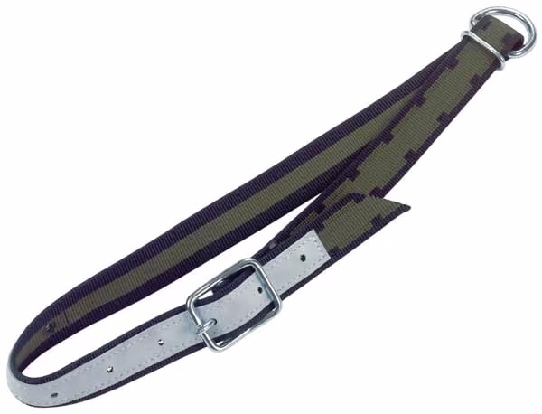 Нашийник D-ring 12502KER