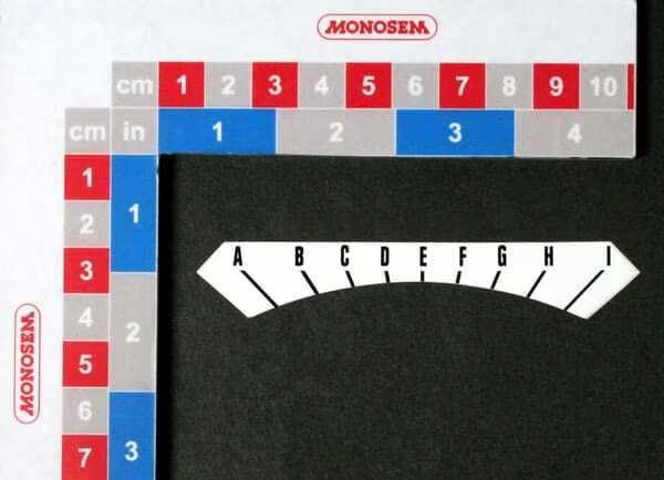 Наклейка: регулювання глибини зліва NG+ (abcdef..) 10226091