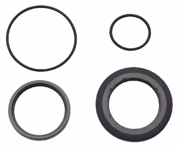 Комплект сальників OMS/VITON 151F OMS9AFDV