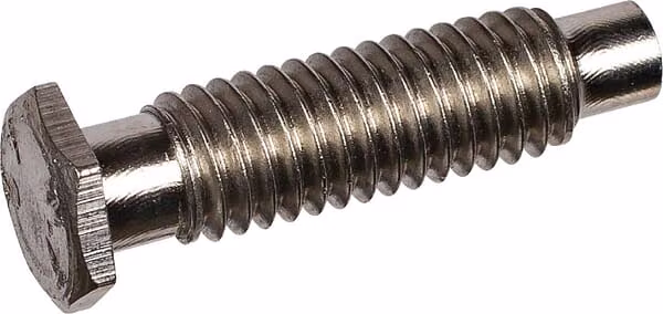 Шуруп M6x22,5Lemken 3010134