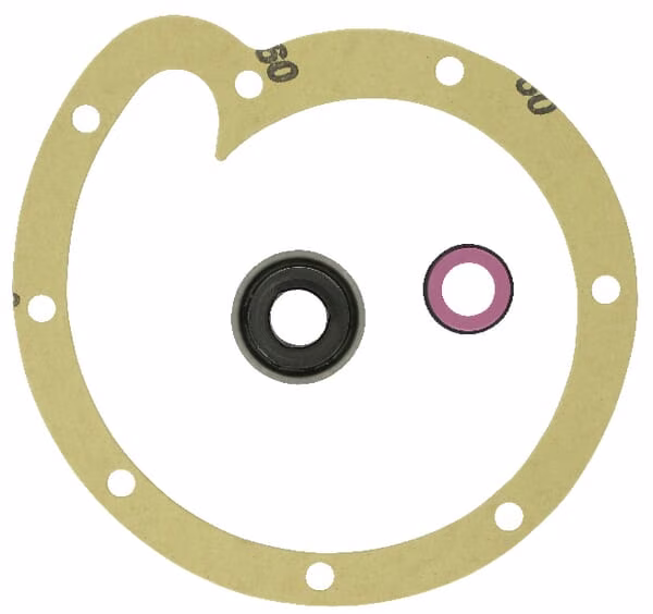 Ремкомплект водяної помпи Case - IH 3055285R95