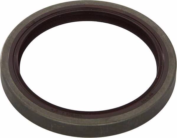 Ущільнення B1VISLRS 95x120x13 FPM 40000720NC