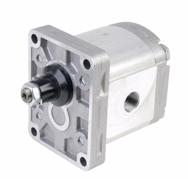 Мотор-редуктор 11cm³ / U, 1/2 "BSP SM2A11RE10G12